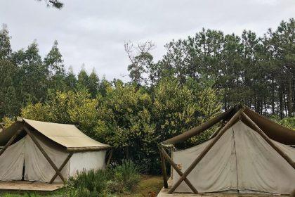 Top 9 Glamping in South West England - Step Into a World of Adventures