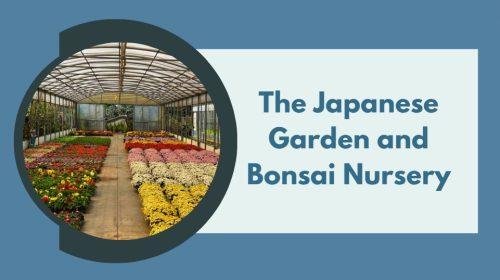 Visit the Japanese Garden and Bonsai Nursery