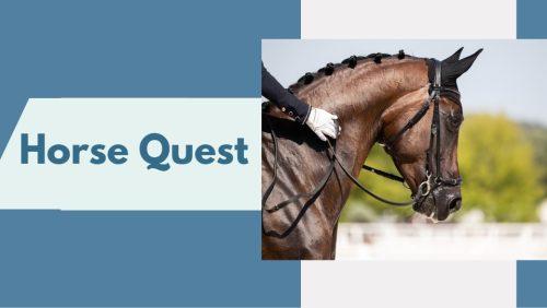 Horse Quest
