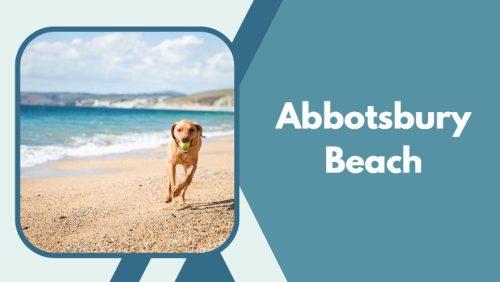 Best Dog Friendly Beaches in Dorset - Top 37