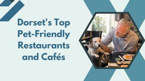Dorset's Top Pet-Friendly Restaurants and Cafés