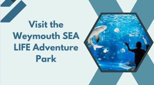 Visit the Weymouth SEA LIFE Adventure Park