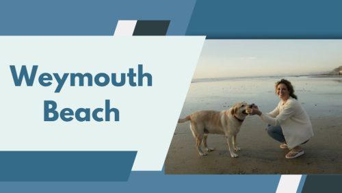 Best Dog Friendly Beaches in Weymouth -Top 10 With Their Restrictions (Map Included)