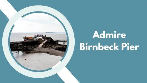 Admire Birnbeck Pier