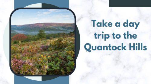 Take a day trip to the Quantock Hills