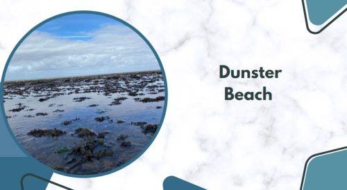Visit Dunster Beach, a dog-friendly beach where your furry friend can play in the sand and water.