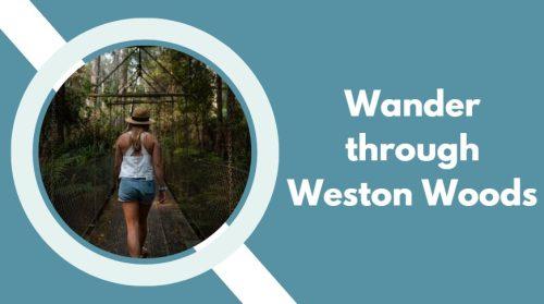 Wander through Weston Woods