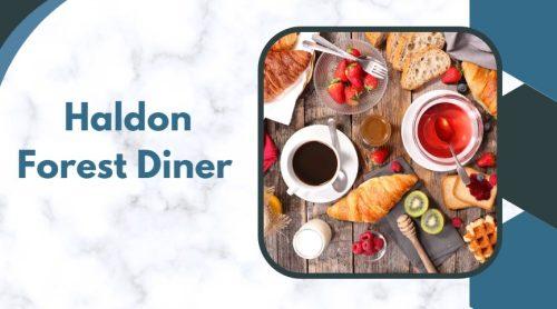 Haldon Forest Diner 