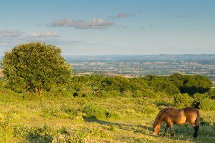 Things to do in Quantock Hills