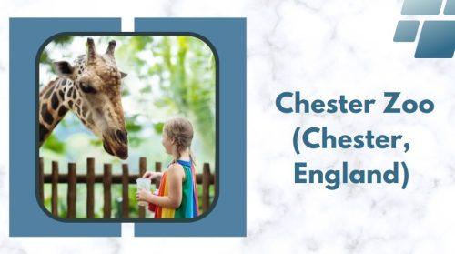 Chester Zoo (Chester, England) - best zoo in uk