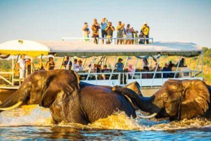 Top 10 Best Safari Park in UK
