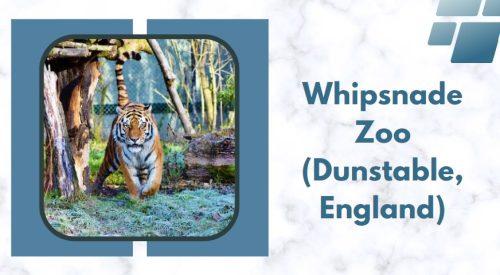 Whipsnade Zoo (Dunstable, England)