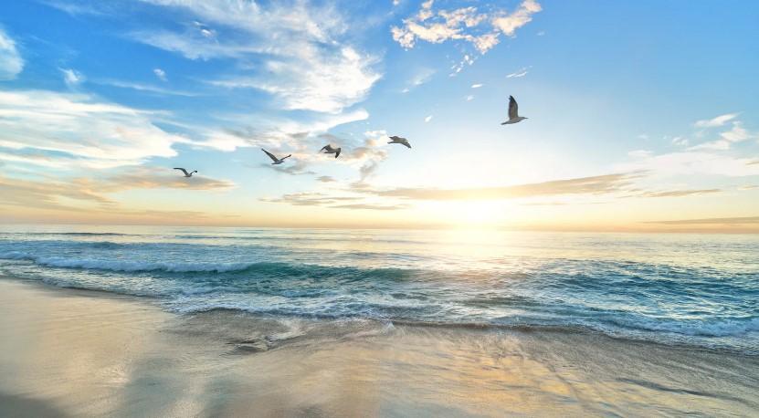 Top 10 Best Beaches in Algarve