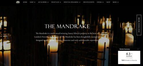 The Mandrake