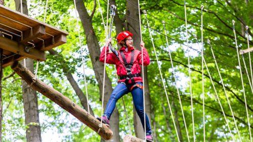 What Activities Can You Do at Go Ape Black Park