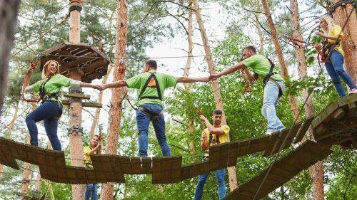 Why Should You Visit Go Ape Black Park